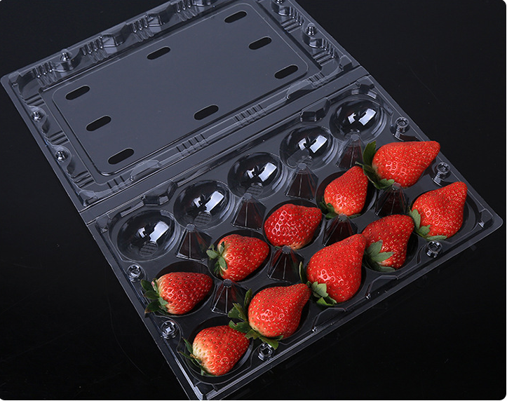 草莓水果吸塑托盘